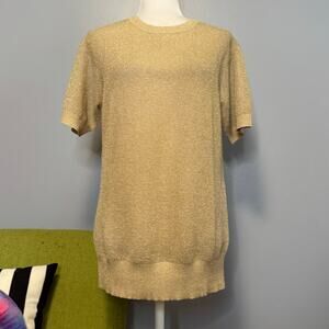 J Crew Collection Golf Metallic Short Sleeve Sheer Tunic Top NEW XS/S